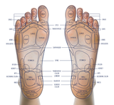 Shiatsu Leg Massager